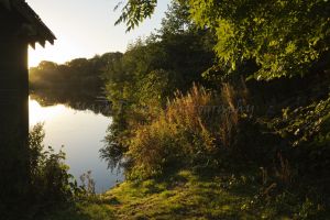 glasshouse sunrise 13.jpg